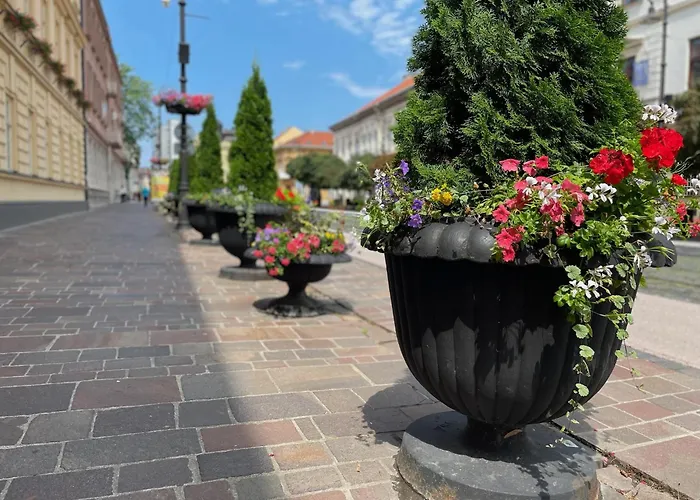 With Cathedral View Apartman *