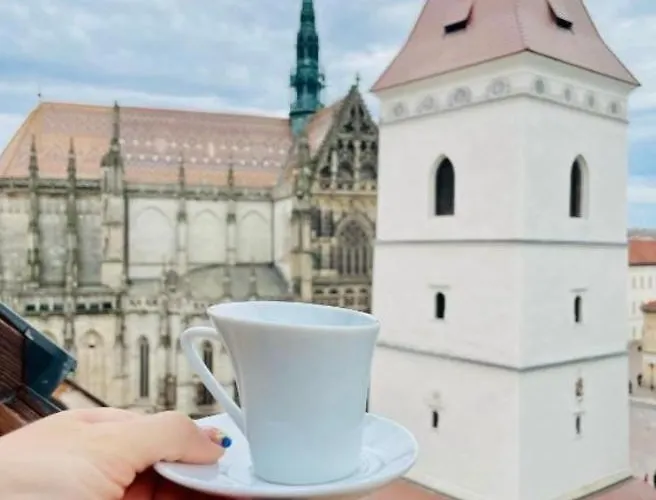 With Cathedral View Apartman *